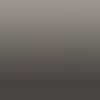 Gris Quantum