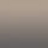 Beige Carat