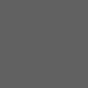 Gris Platinium