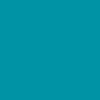 Turquoise Maui/Toit Noir